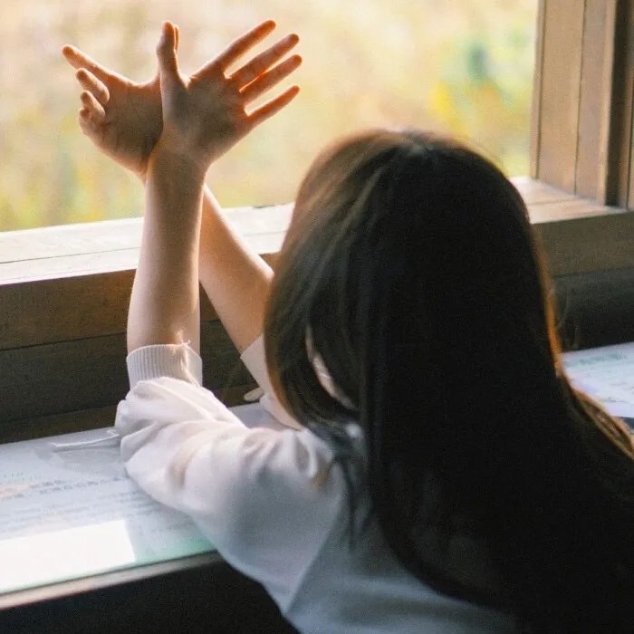 九品芝麻官海报